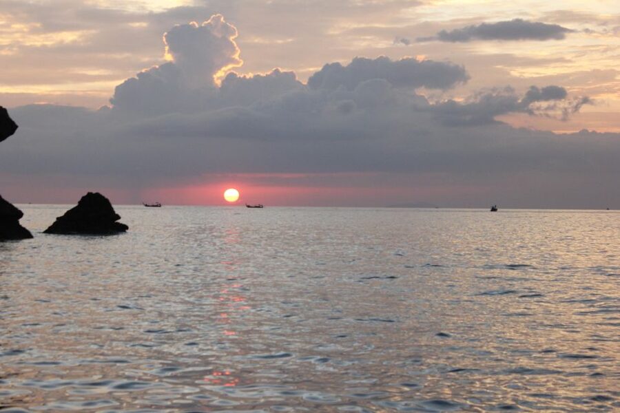 Ko Phi Phi Don: Speedboat Day Trip with Shark Snorkeling - FAQ