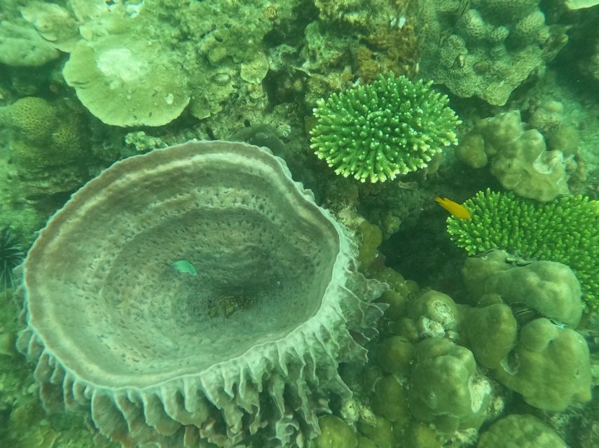 Krabi: 4 Islands & Krabi's Separated Sea Longtail Boat Tour - Phra Nang Cave Beach and the Princess Cave