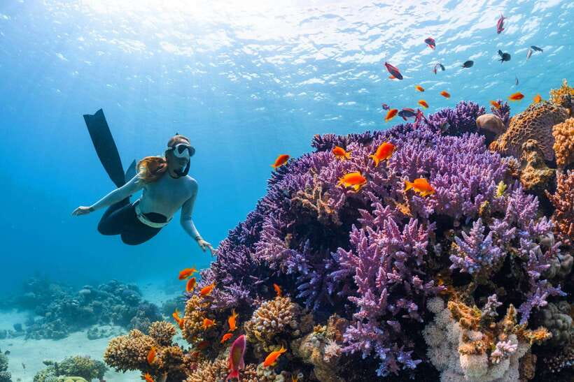 Krabi: 7 Islands Sunset Tour with Plankton Swim and BBQ - Sunset dinner at Phra Nang Cave