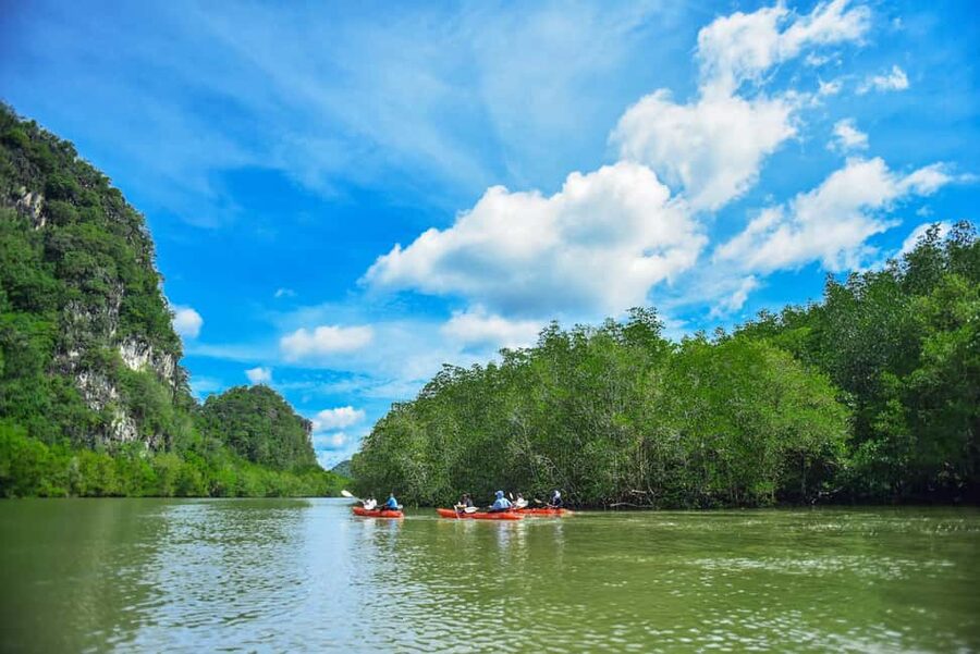 Krabi: Ao Thalane Mangrove Kayaking with Extras - Paddling into Ao Thalane’s mangroves