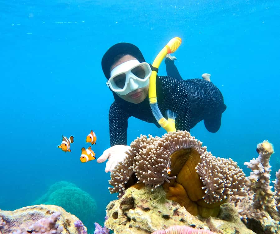 Krabi: Bioluminescent Plankton, Snorkeling & Sunset Tour - Friendly guides make a difference