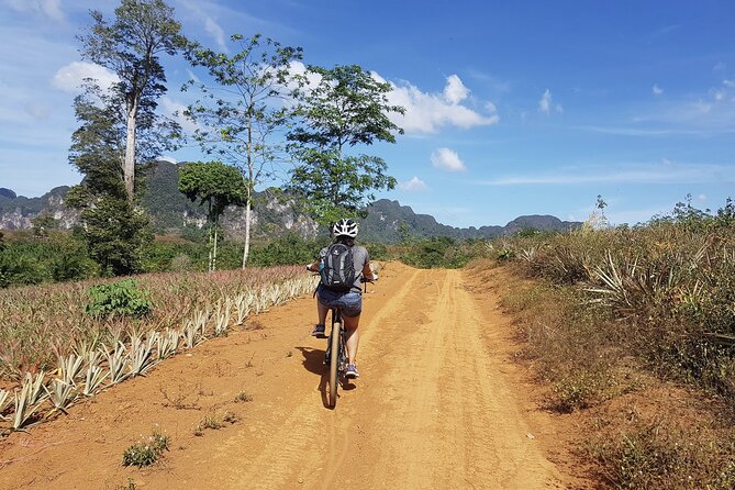 Krabi Countryside Eco Cycling Tour - Multiple Trails - A different view of Krabi from the saddle
