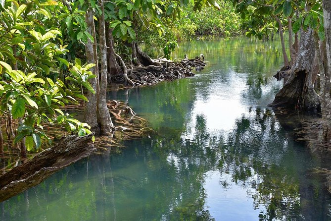 Krabi Countryside Eco Cycling Tour - Multiple Trails - Should you book the Krabi countryside ride?