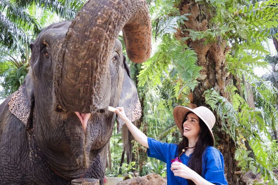 Krabi: Elephant Bathing Session at Krabi Elephant Shelter - What to know before you book
