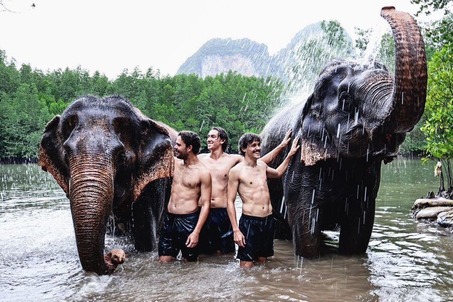 Krabi: Elephant Bathing Session at Krabi Elephant Shelter - Meeting the elephants, one feed at a time