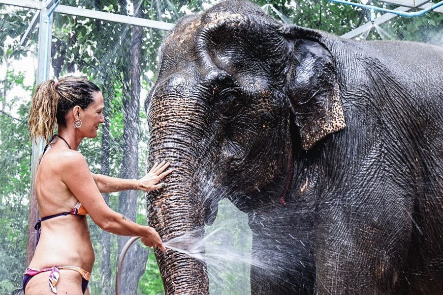 Krabi: Elephant Bathing Session at Krabi Elephant Shelter - Photos, showers, and the little extras