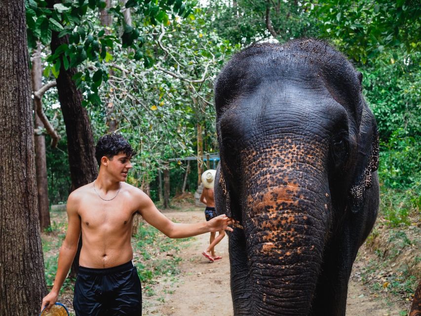 Krabi: Elephant Bathing Session at Krabi Elephant Shelter - What $48 buys you