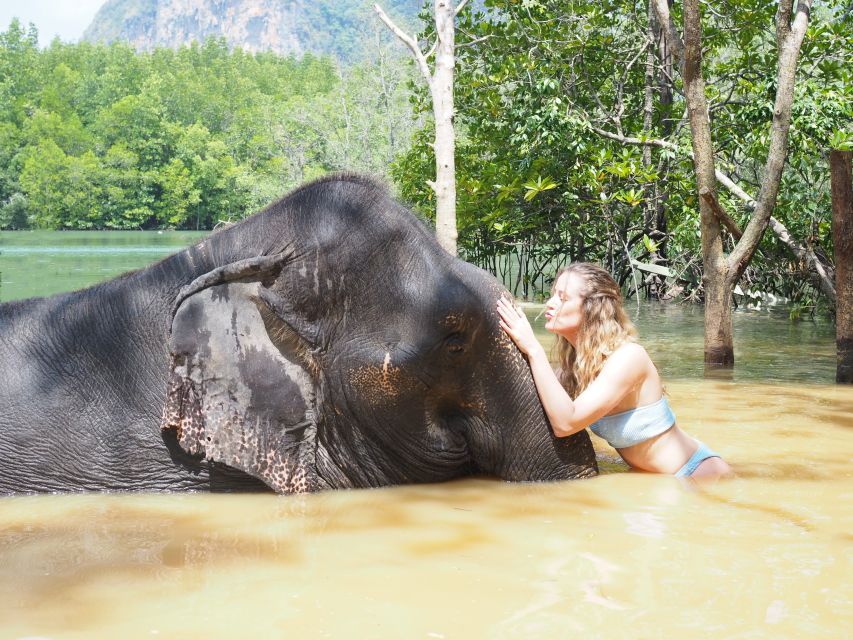 Krabi: Elephant Bathing Session at Krabi Elephant Shelter - Should you book it?