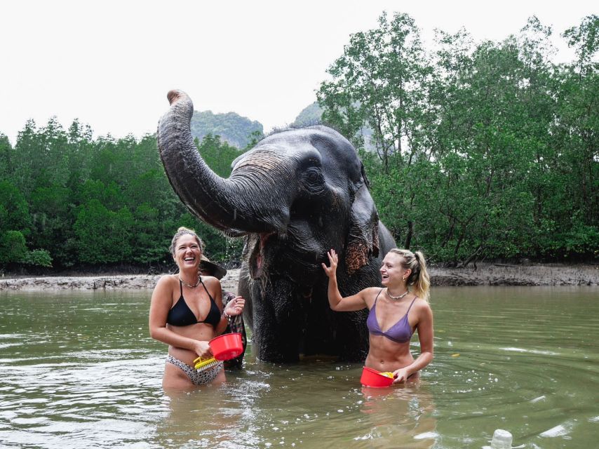 Krabi: Elephant Bathing Session at Krabi Elephant Shelter - FAQ