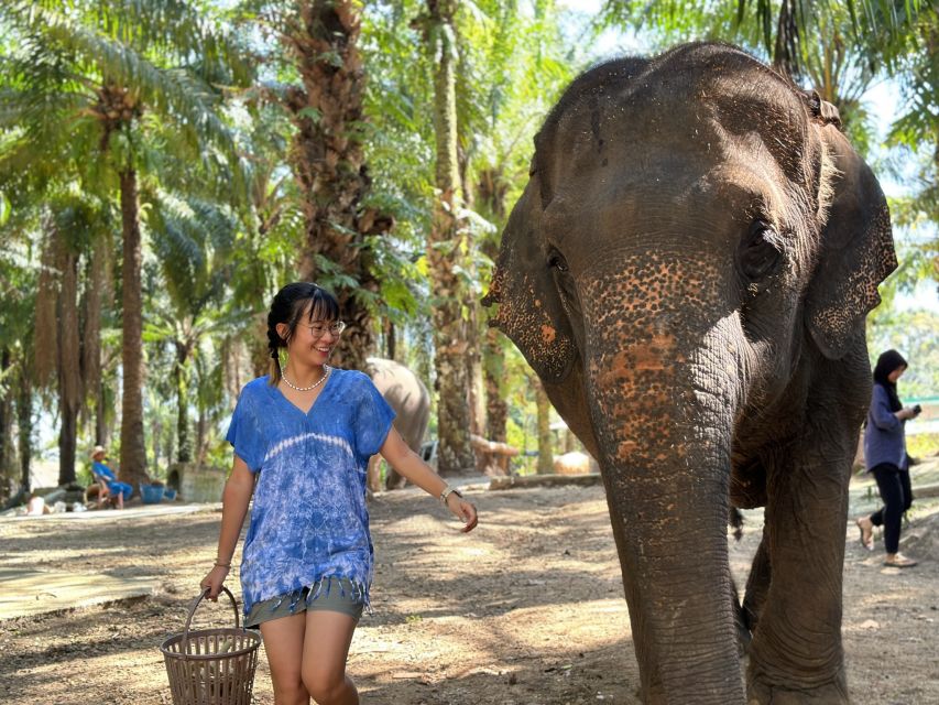 Krabi: Elephant Bathing Session at Krabi Elephant Shelter - Bathing in the shelter’s green surroundings