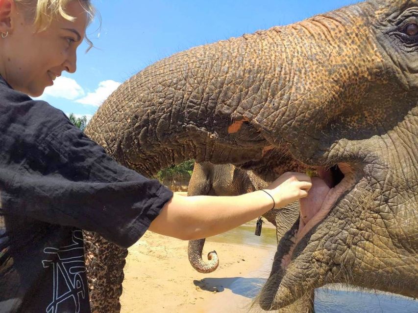 Krabi: Elephant Care House Guided Tour with Hotel Transfers - What makes this visit different