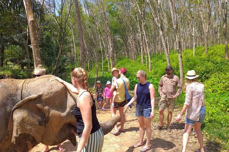 Krabi: Elephant Care House Guided Tour with Hotel Transfers - Pickup, briefing, and the first encounter