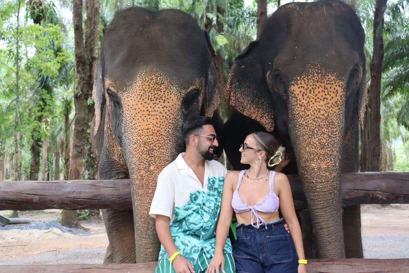 Krabi: Elephant Feeding Program - At a glance