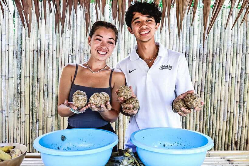 Krabi: Elephant Feeding Program - Should you book the Krabi Elephant Feeding Program?