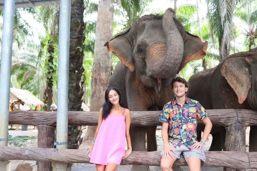 Krabi: Elephant Feeding Program with Food Preparation - Is $27 good value?