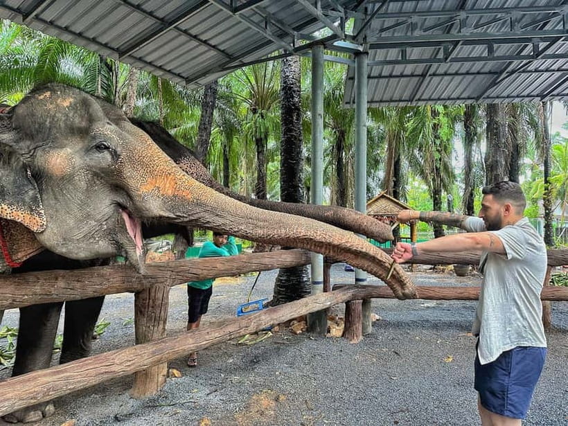 Krabi: Elephant Feeding Program with Food Preparation - Meeting elephants in a care setting