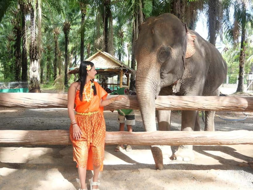 Krabi: Elephant Feeding Program with Traditional Thai Dress - Meeting the mahouts and learning how to feed