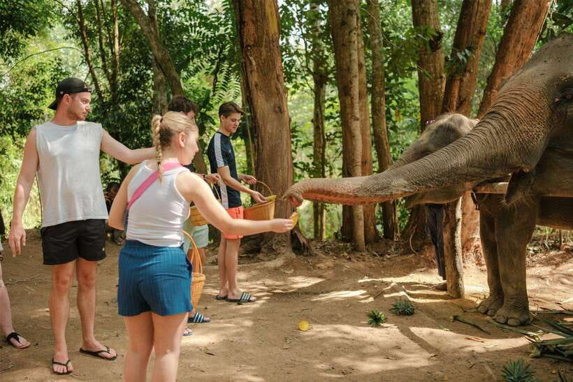 Krabi: Elephant Sanctuary (near Ao Nang) Visit - A short visit with a clear focus