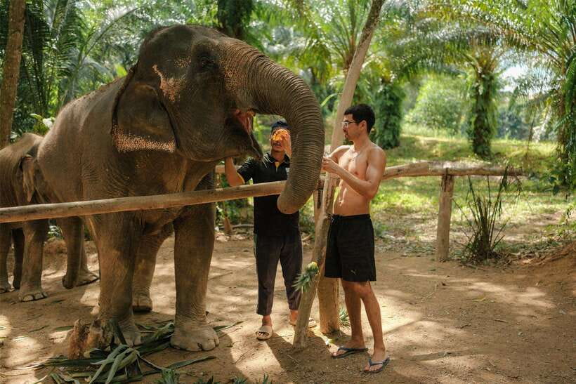 Krabi: Elephant Sanctuary (near Ao Nang) Visit - The drive from Ao Nang
