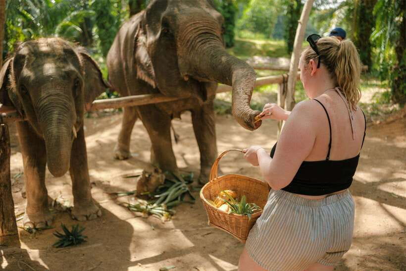 Krabi: Elephant Sanctuary (near Ao Nang) Visit - Is $22 good value?