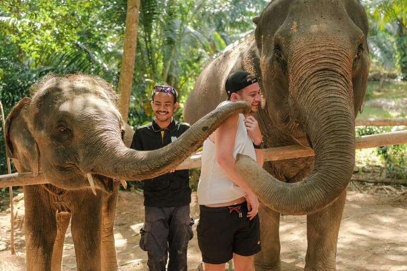 Krabi: Elephant Sanctuary (near Ao Nang) Visit - Old tools and elephant stories