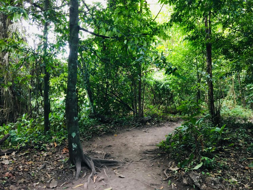 Krabi: Emerald Pool and Hot Springs Waterfall Half-Day Trip - From Krabi to the rainforest