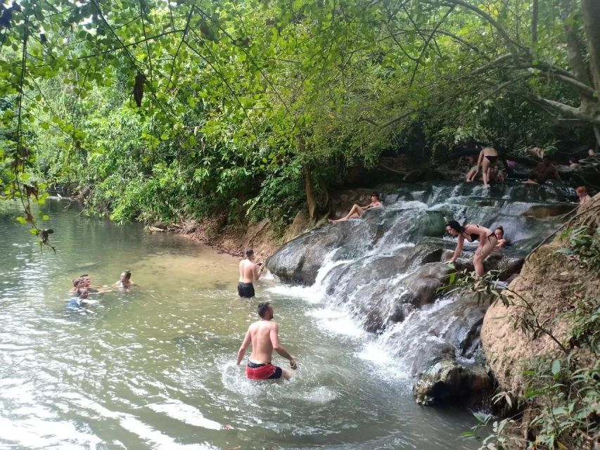 Krabi: Emerald Pool and Hot Springs Waterfall Half-Day Trip - The van ride can shape the day