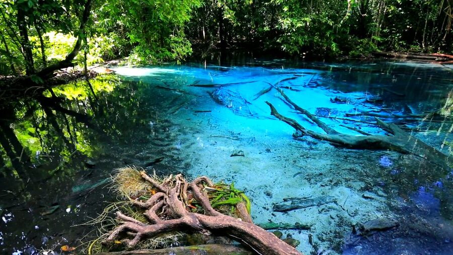 Krabi: Emerald Pool and Hot Springs Waterfall Half-Day Trip - Who should book this trip