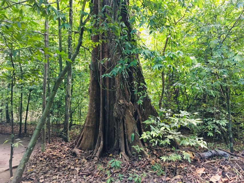 Krabi: Emerald Pool and Hot Springs Waterfall Half-Day Trip - Practical details before you go