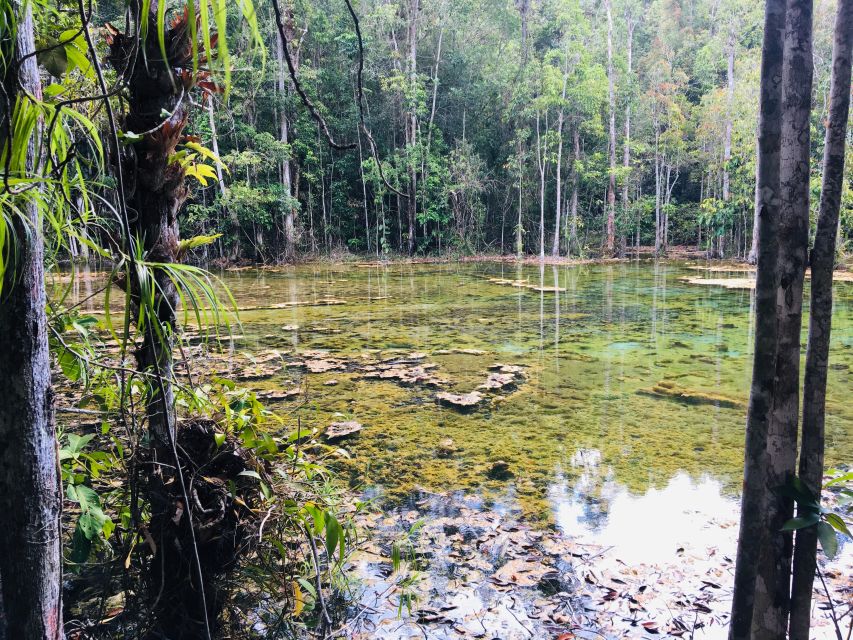 Krabi: Emerald Pool and Hot Springs Waterfall Half-Day Trip - Should you book the Emerald Pool and Hot Springs trip?