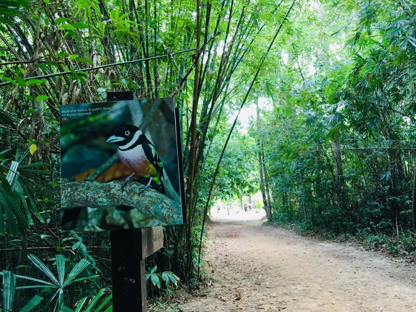 Krabi: Emerald Pool and Hot Springs Waterfall Half-Day Trip - FAQ
