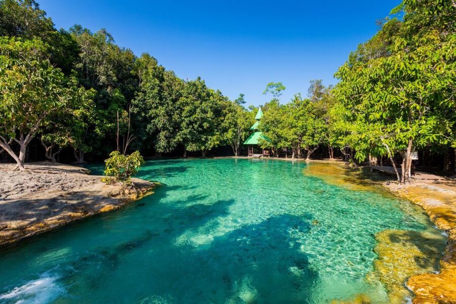 Krabi: Emerald Pool and Hot Springs Waterfall Half-Day Trip - Swimming in the Emerald Pool
