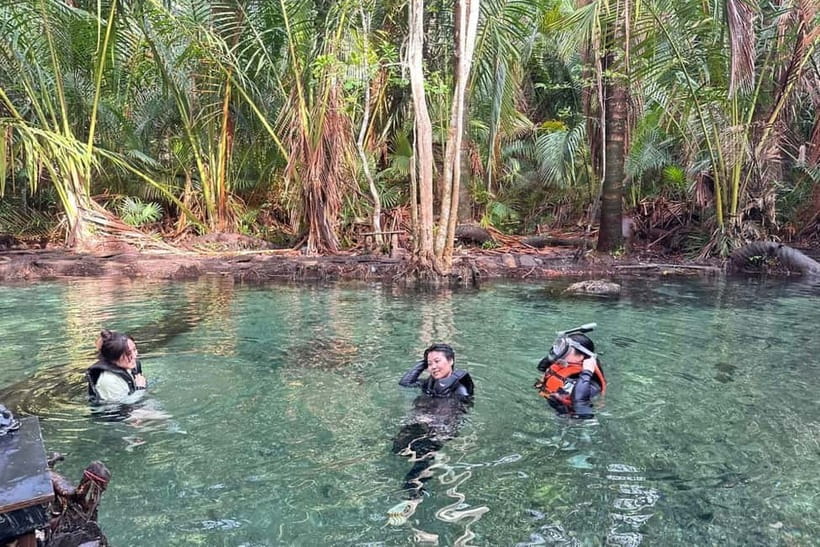 Krabi: Emerald Pool, Hot Springs, and Kayaking Tour - Thai buffet lunch: a useful mid-tour reset