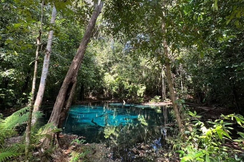Krabi: Emerald Pool, Hot Springs, and Kayaking Tour - FAQ