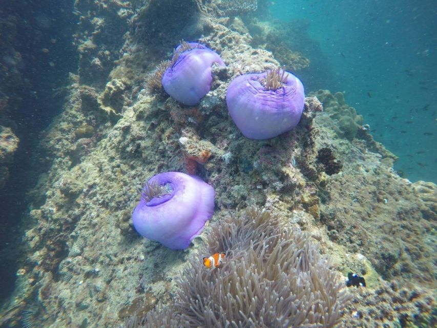 Krabi: Freediving and Snorkeling at Yawasam and Talu Island - Boat comfort, group size, and guiding