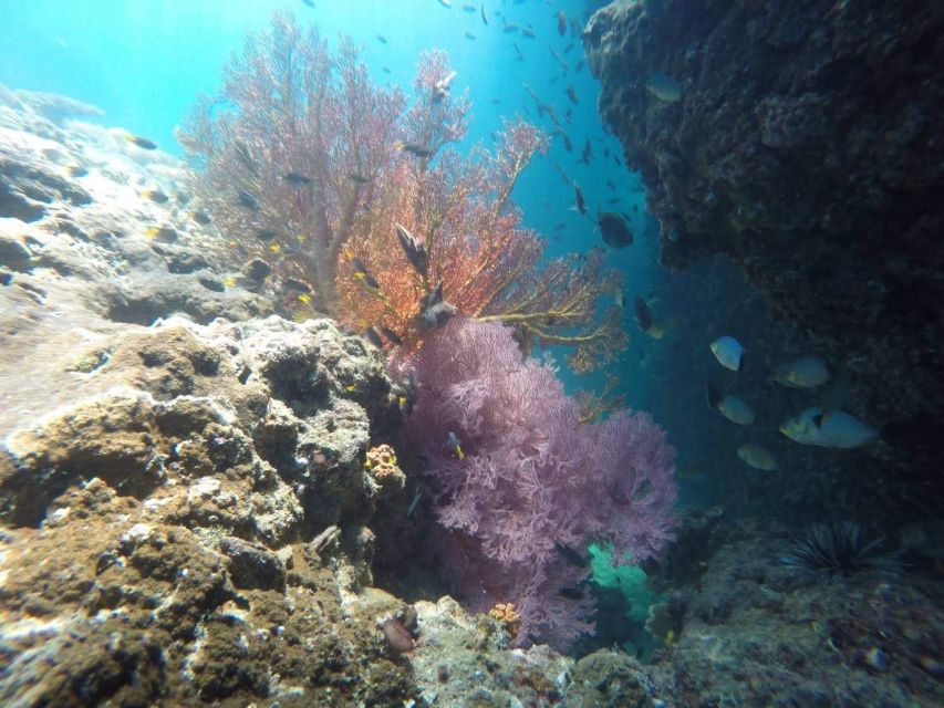 Krabi: Freediving and Snorkeling at Yawasam and Talu Island - Is this Krabi boat trip right for you?