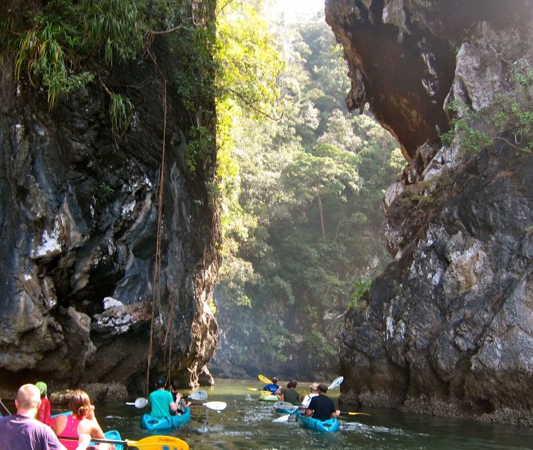 Krabi: Guided Kayaking Tour at Ao Thalane - Wildlife calls for patience, not pursuit