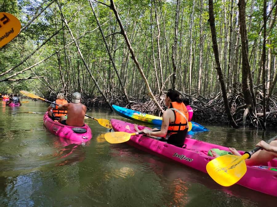 Krabi: Half-Day Kayak Adventure at Ao Thalane - The drive from Ao Nang sets the scene