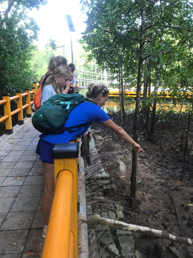 Krabi: Half-Day Mangrove Boat Trip And Khao Khanap Nam Cave - Getting ready for the boat and cave