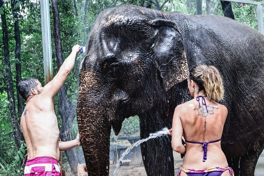 Krabi: Highlights Tour with Krabi Elephant Shelter - Mud bath, river bath, and a proper rinse