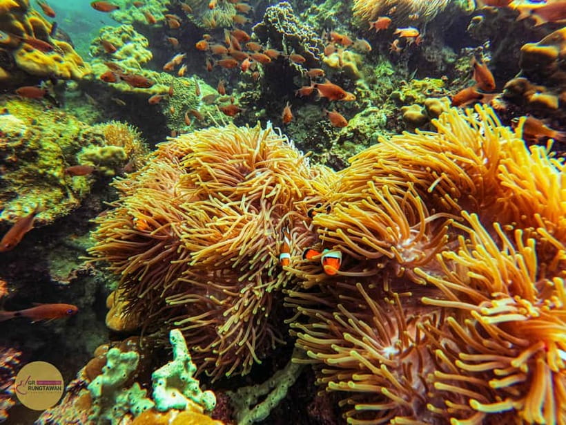 Krabi: Hong Islands Sunset, Bioluminescent Plankton and BBQ - An afternoon route to the Hong Islands