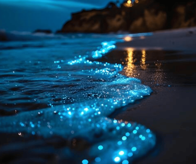 Krabi: Hong Islands Sunset, Bioluminescent Plankton and BBQ - After dark: the plankton search