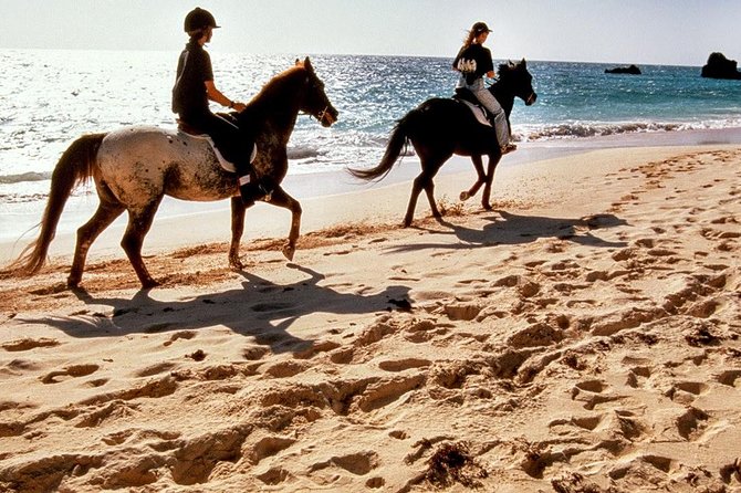 Krabi Horse Riding at Ao Nam Mao Beach - The highlights at a glance