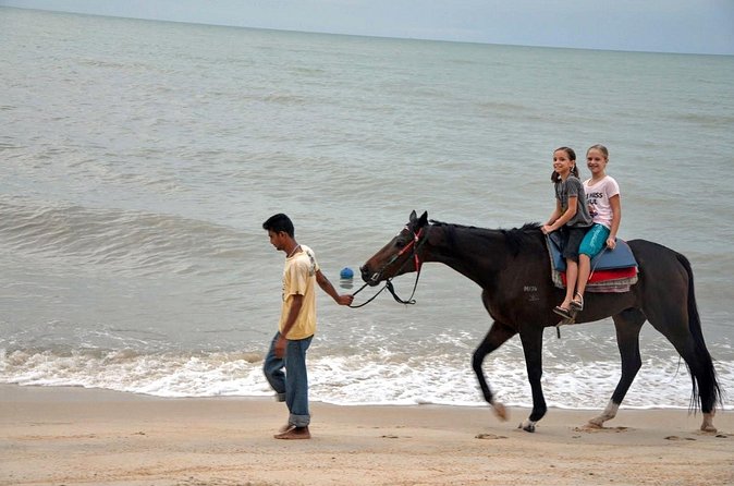 Krabi Horse Riding at Ao Nam Mao Beach - Horse care and riding with a clear conscience