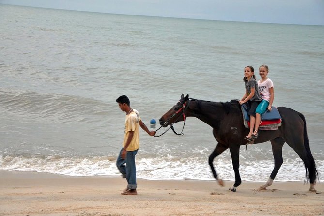 Krabi Horse Riding at Ao Nam Mao Beach - Who should book this ride