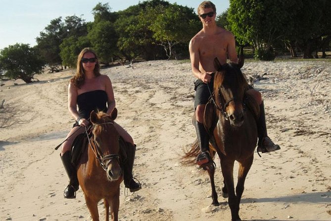 Krabi Horse Riding at The Beach - What to know before you book