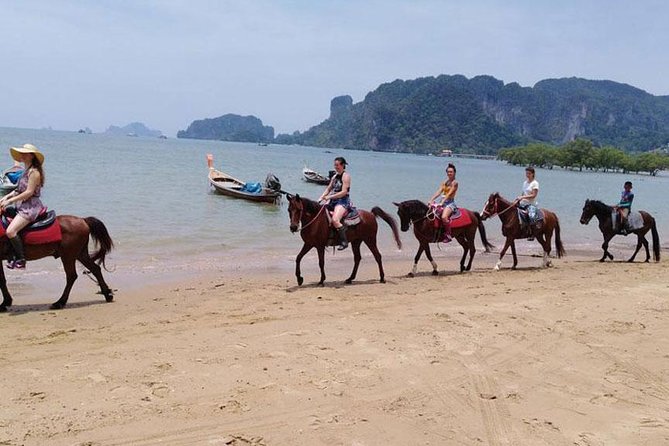 Krabi Horse Riding at The Beach - A beach ride with more than sand
