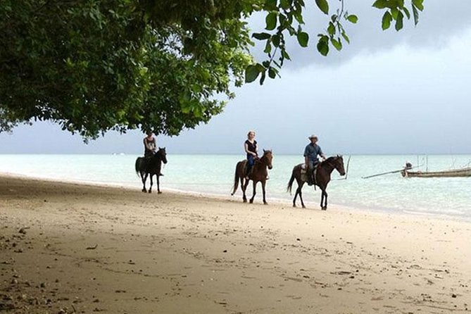 Krabi Horse Riding at The Beach - What the ride feels like from pickup to return