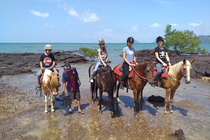 Krabi Horse Riding at The Beach - Horse swimming is a separate add-on