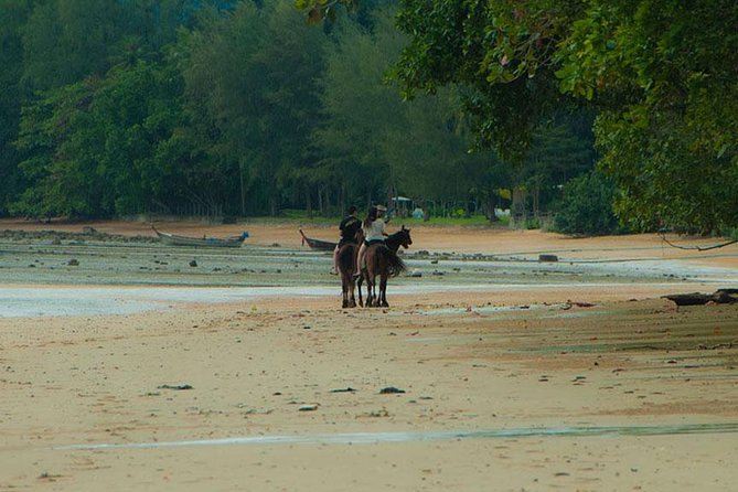 Krabi Horse Riding at The Beach - Price, transfers, and what the fee covers